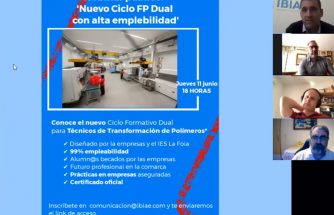 Vídeo del webinar 'Ciclo de FP Dual con alta empleabilidad'